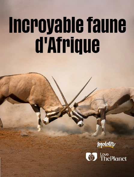 Love the Planet - Incroyable faune d'Afrique