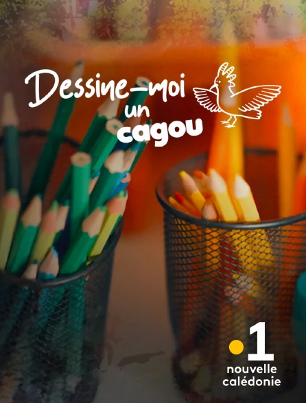 La 1ère Nouvelle-Calédonie - Dessine-moi un cagou
