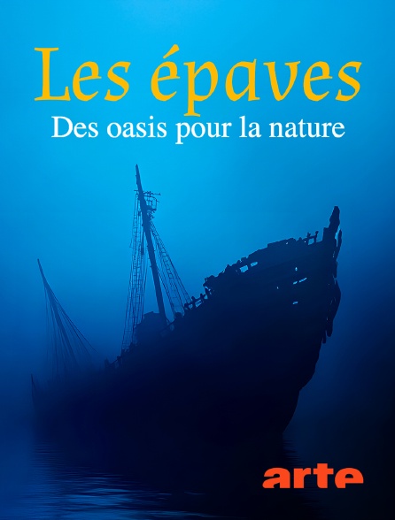 Arte - Les épaves, des oasis pour la nature