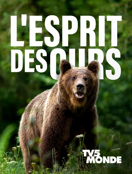 TV5MONDE - L'esprit des ours