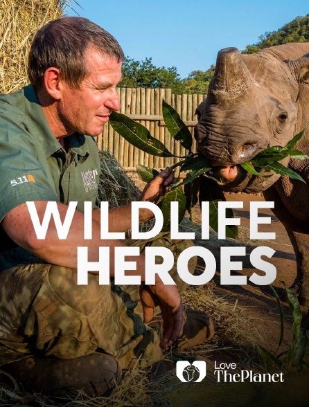 Love the Planet - Wildlife Heroes