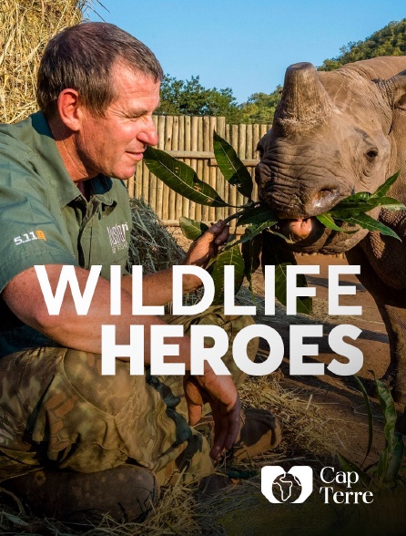 Cap Terre - Wildlife Heroes