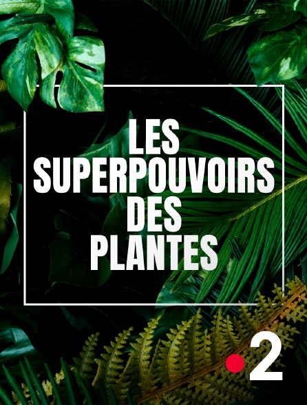 France 2 - Les superpouvoirs des plantes