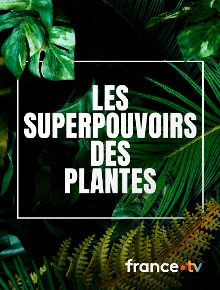France.tv - Les superpouvoirs des plantes