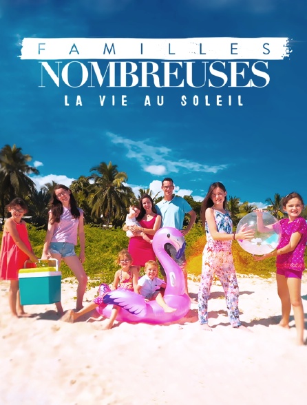 FR - Familles nombreuses : La vie au soleil from Crystal panel