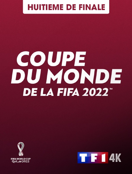 TF1 4K - Football - Coupe du monde 2022 : 1er groupe G / 2e groupe H