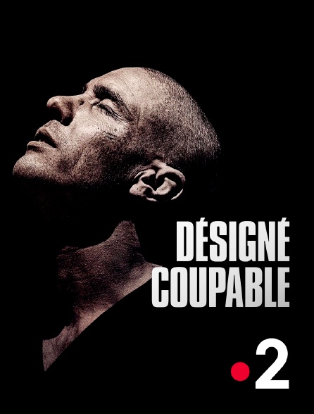 France 2 - Désigné coupable