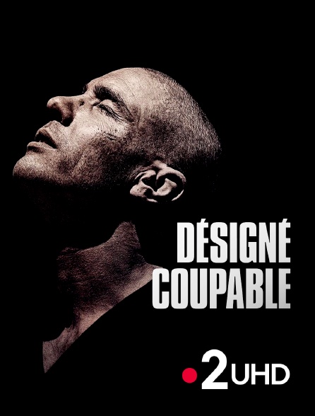France 2 UHD - Désigné coupable