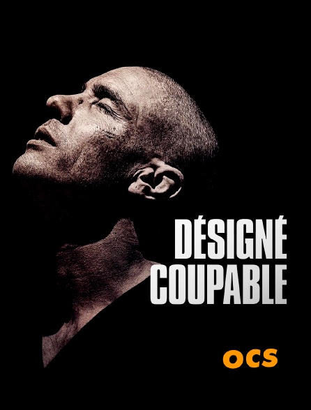 OCS - Désigné coupable