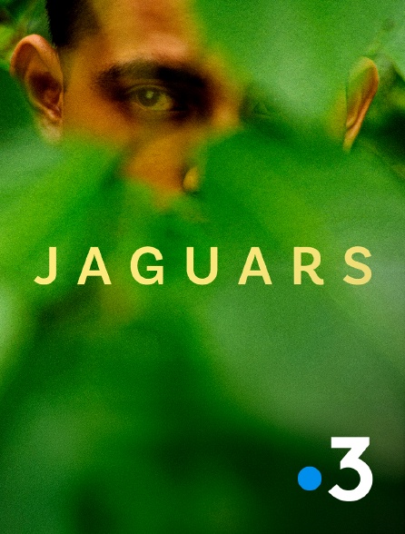 France 3 - Jaguars