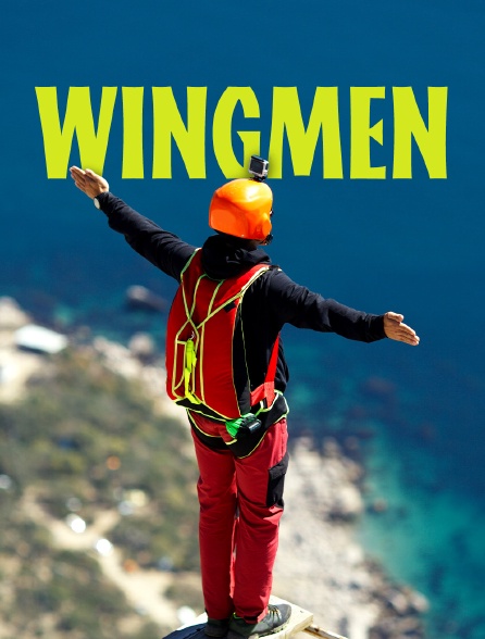 wingmen ensan case