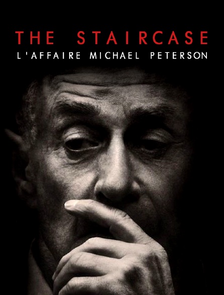 THE STAIRCASE : L'AFFAIRE MICHAEL PETERSON