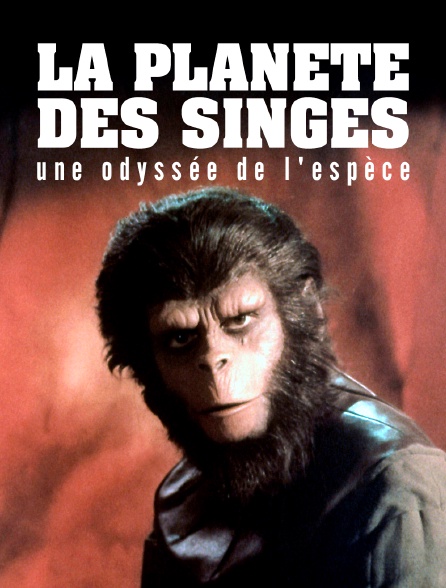 "La planète des singes", une odyssée de l'espèce