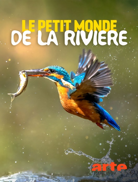 Arte - Le petit monde de la rivière