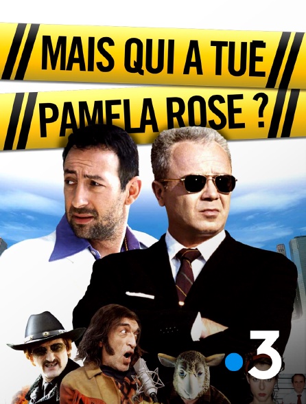France 3 - Mais qui a tué Pamela Rose ?