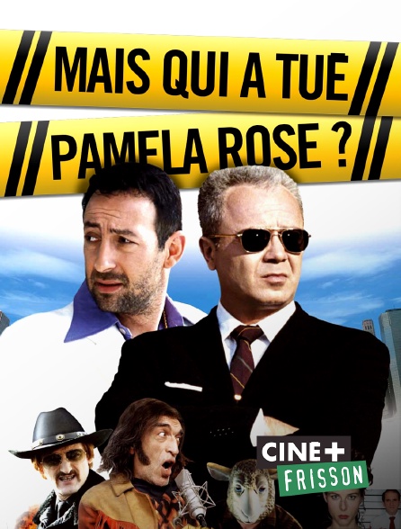 Qui A Tué Pamela Rose Streaming Mais qui a tué Pamela Rose ? en Streaming & Replay sur Ciné+ Frisson