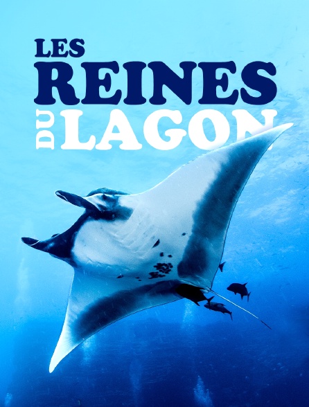 Les reines du lagon