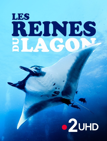 France 2 UHD - Les reines du lagon