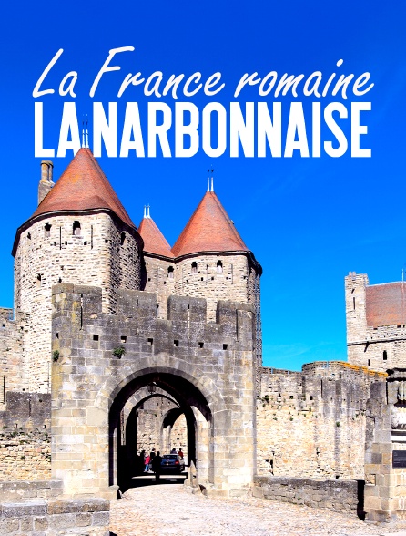 La France romaine : la Narbonnaise