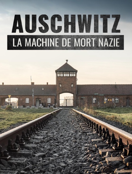 Auschwitz, la machine de mort nazie