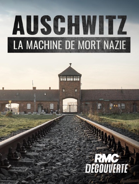 RMC Découverte - Auschwitz, la machine de mort nazie en replay