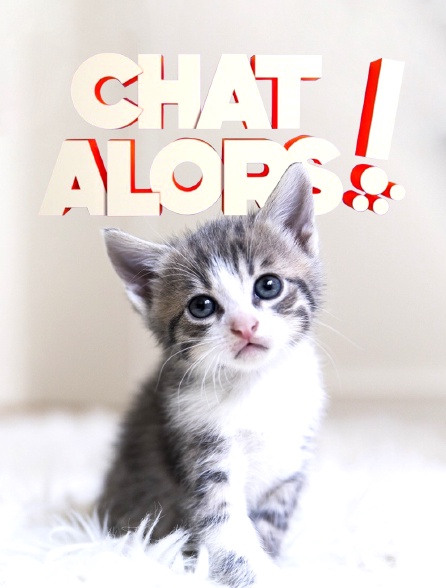 Chat alors !