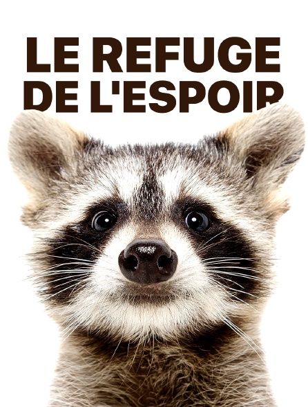 Le refuge de l'espoir