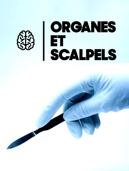 Organes et scalpels