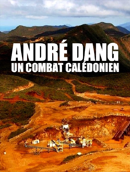 André Dang, un combat calédonien