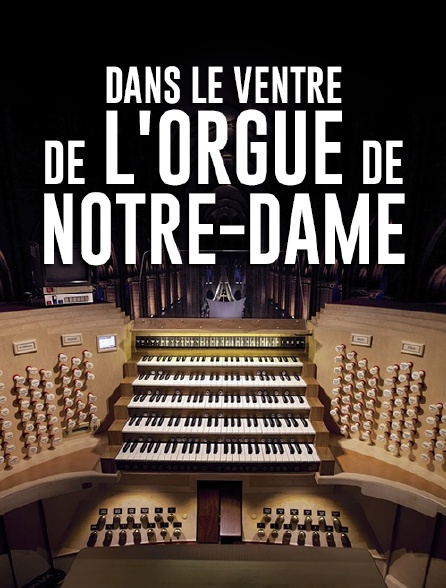 Dans le ventre de l'orgue de Notre-Dame
