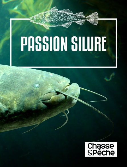 Chasse et pêche - Passion silure