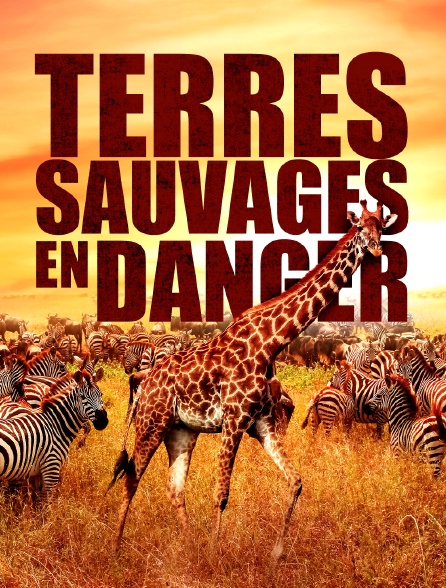 Terres Sauvages en Danger - 10/09/2024 à 16h04