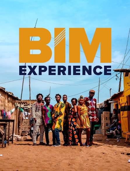 BIM experience