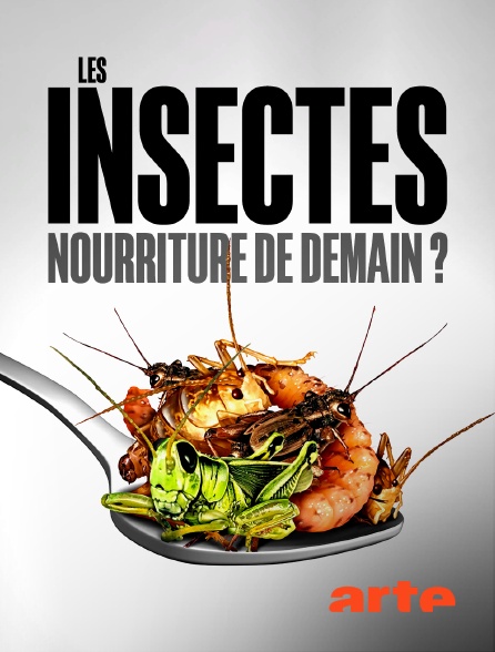 Arte - Les insectes, nourriture de demain ?