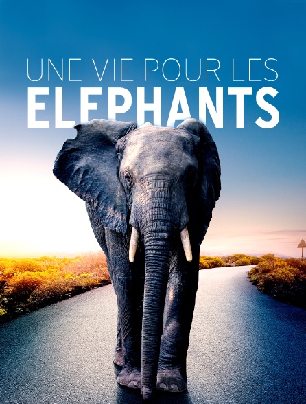 Une vie pour les éléphants