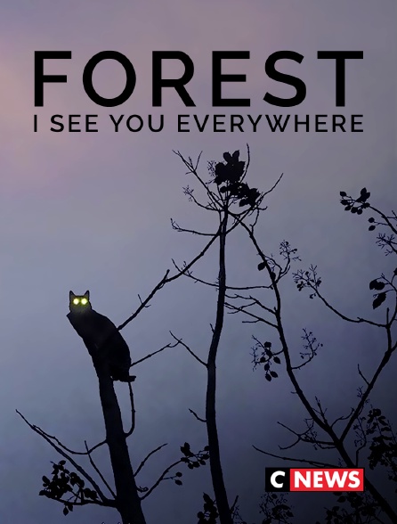 CNEWS - Forest - I See You Everywhere