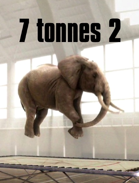 7 tonnes 2