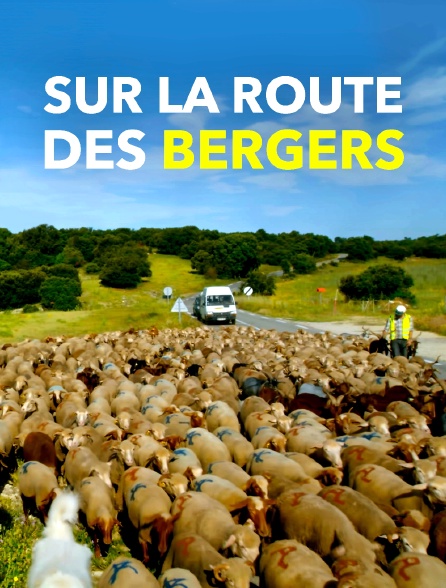 Sur la route des bergers