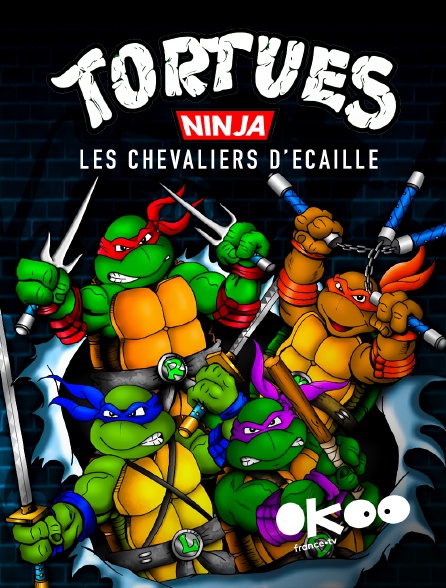 Okoo - Tortues Ninja : les chevaliers d’écaille