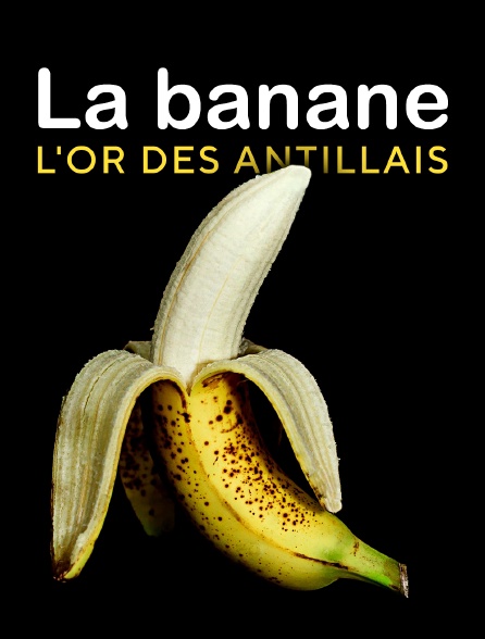 La banane, l'or des Antillais