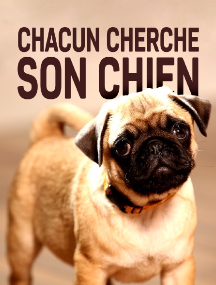 Chacun cherche son chien