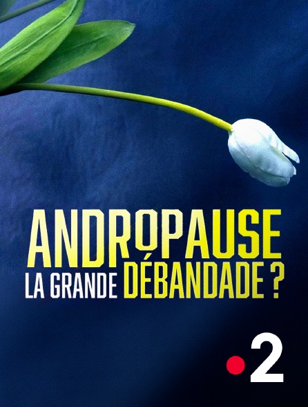 France 2 - Andropause : la grande débandade ?