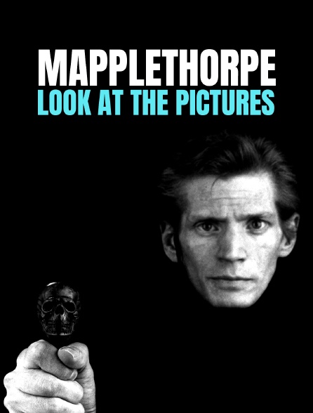 Mapplethorpe : Look at the pictures