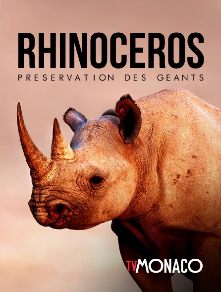 TV Monaco - Rhinocéros : préservation des géants