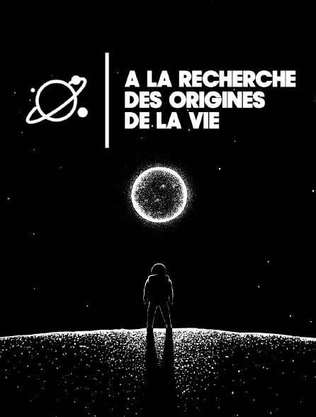 A la recherche des origines de la vie