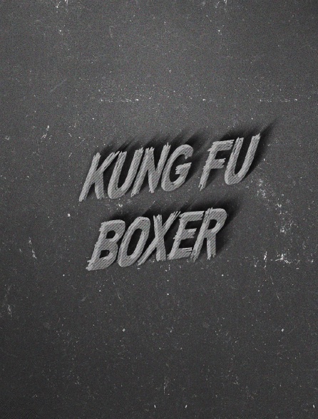 Kung Fu Boxer