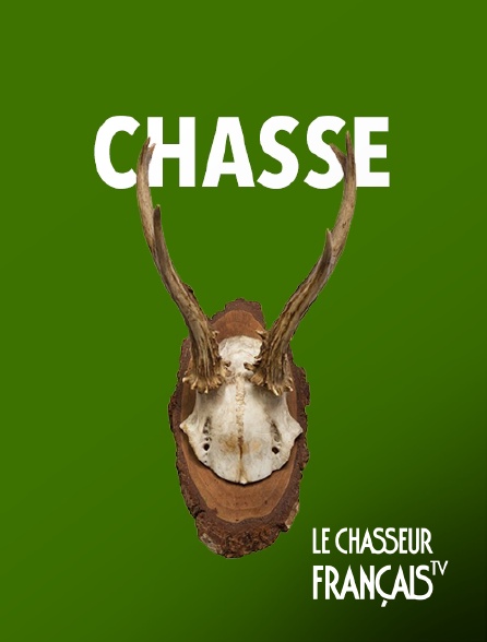 Le Chasseur Français - Début de saison : chasse à l'approche dans le Gers - Partie 1