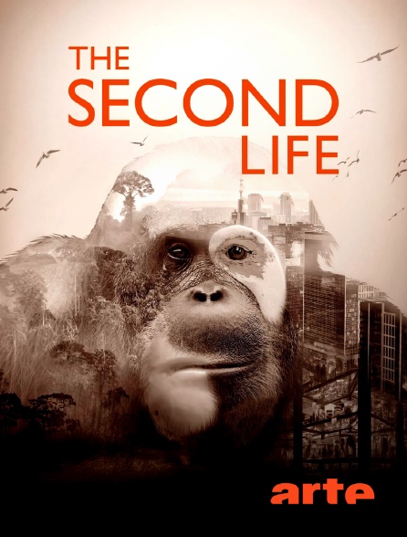 Arte - The Second Life