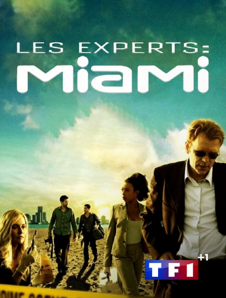 TF 1 +1 - Les experts : Miami