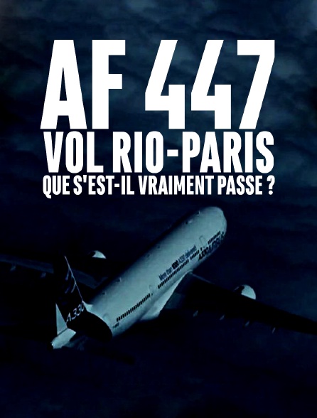 AF 447 vol Rio-Paris : que s'est-il vraiment passé ?